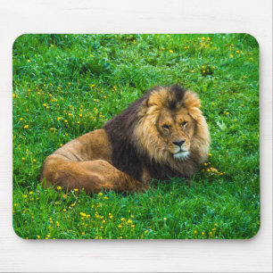 Tapis De Souris Lion détendant en photo d'herbe verte