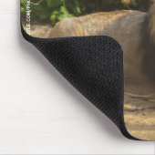 Tapis de souris Lion mâle (Coin)