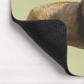 Tapis de souris Lion mâle (Coin)