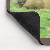 Tapis De Souris Lion Mousepad (Coin)