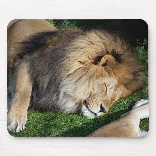 Tapis De Souris Lion Mousepad de sommeil (Devant)