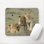 Tapis De Souris Lion siblings (Avec souris)