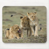 Tapis De Souris Lion siblings (Devant)