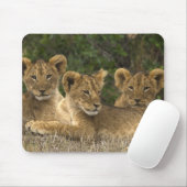 Tapis De Souris Lion siblings (Avec souris)