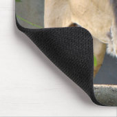 Tapis De Souris Lion Wildlife Mousepad (Coin)