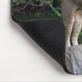 Tapis De Souris Lioness (Coin)
