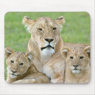Tapis De Souris Lioness et deux petits, Afrique de l'Est, Tanzanie