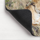 Tapis De Souris Lioness resting (Coin)