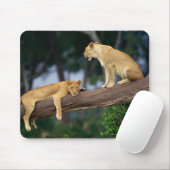Tapis De Souris Lionesses dans un arbre (Avec souris)