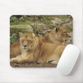 Tapis De Souris Lionne (Avec souris)