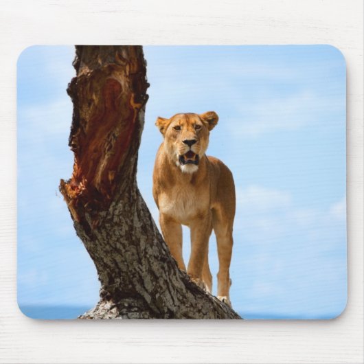 Tapis De Souris Lionne (Devant)
