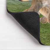 Tapis De Souris Lionne Chasseuse (Coin)
