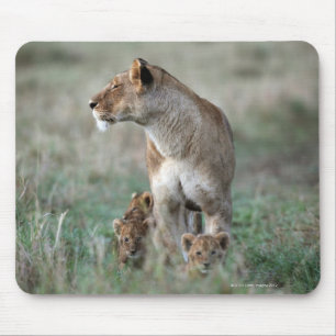 Tapis De Souris Lionne (Panthera Lion) et petits animaux, masais