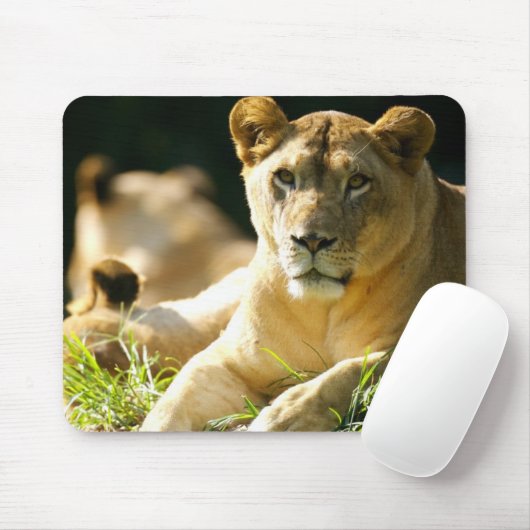 Tapis De Souris Lions (Avec souris)