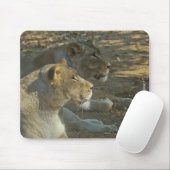 Tapis de souris Lions (Avec souris)