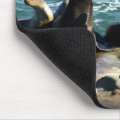 Tapis De Souris Lions de la mer de San Diego (Coin)