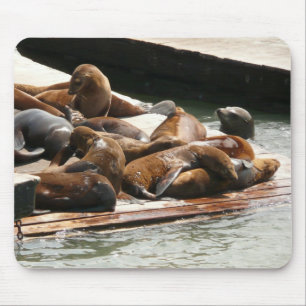 Tapis De Souris Lions de mer au soleil à San Francisco