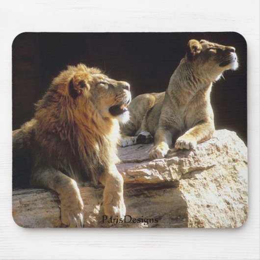 Tapis De Souris Lions Kenya de jungle (Devant)