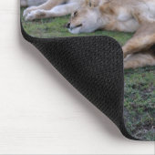 Tapis De Souris Lions Napping - Mousepad (Coin)