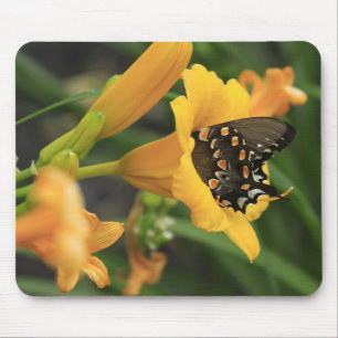 Tapis De Souris Lis de papillon
