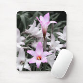 Tapis De Souris lis des pluies (Avec souris)