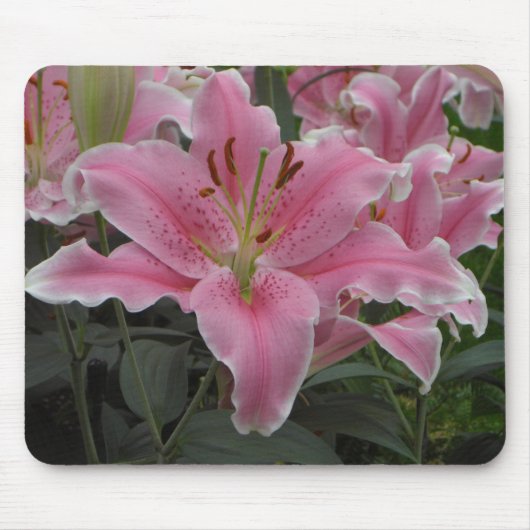 Tapis De Souris Lis rose Mousepad (Devant)