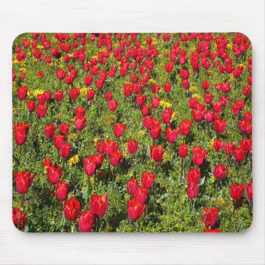 Tapis De Souris Lit de tulipes (Devant)