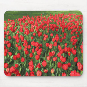 Tapis De Souris Lit des Tulipes rouges 02