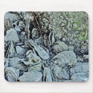 Tapis De Souris Lit d'huître de beauté de marée basse