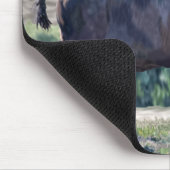 Tapis De Souris L'itinérance de bison américain dans les prairies (Coin)