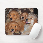 Tapis De Souris Litter Golden Retriever (Avec souris)