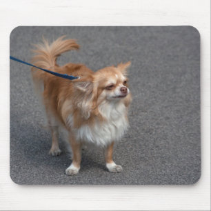 Tapis De Souris Little Redhead