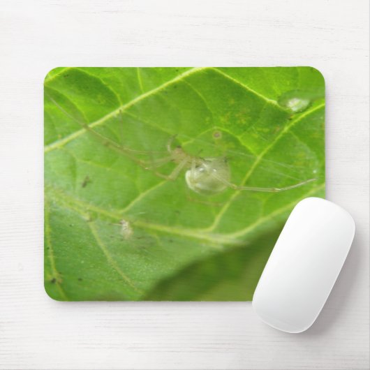Tapis De Souris Little Spider Mousepad (Avec souris)