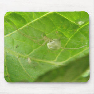 Tapis De Souris Little Spider Mousepad
