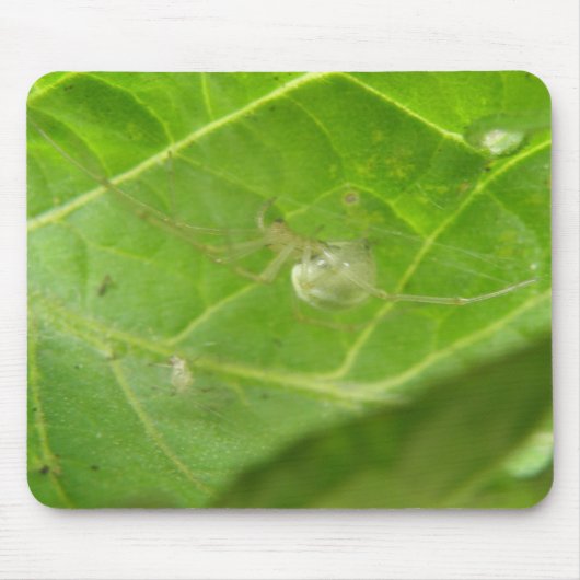 Tapis De Souris Little Spider Mousepad (Devant)