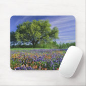 Tapis De Souris Live Oak & Texas Paintbrush et Texas (Avec souris)