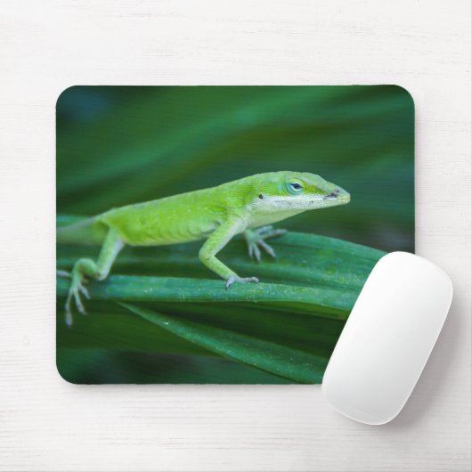 Tapis De Souris Lizard d'Anole Verte (Avec souris)