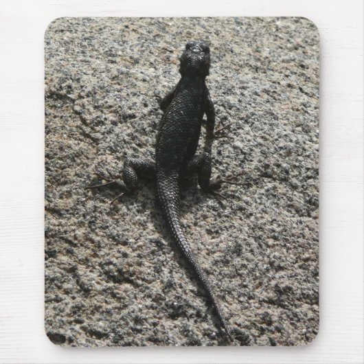 Tapis De Souris Lizard noir (Devant)