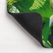 Tapis De Souris Lizard vert Iguana (Coin)