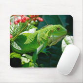 Tapis De Souris Lizard vert Iguana (Avec souris)