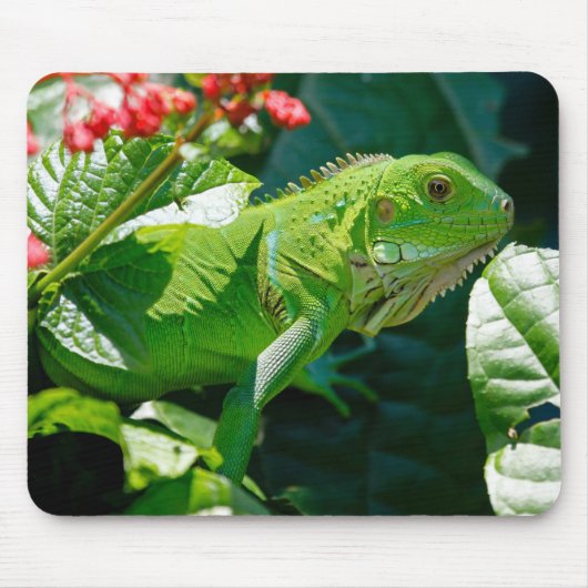 Tapis De Souris Lizard vert Iguana (Devant)