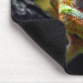 Tapis De Souris Lizards, reptiles (Coin)