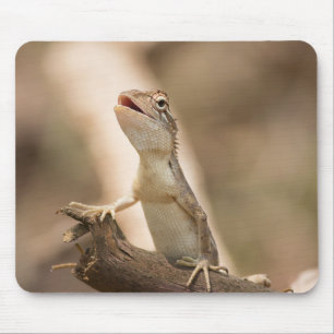 Tapis De Souris Lizards, reptiles, animaux en Jardin Oriental