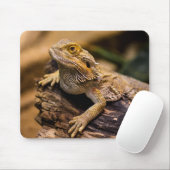 Tapis De Souris Lizards, reptiles, dragons (Avec souris)