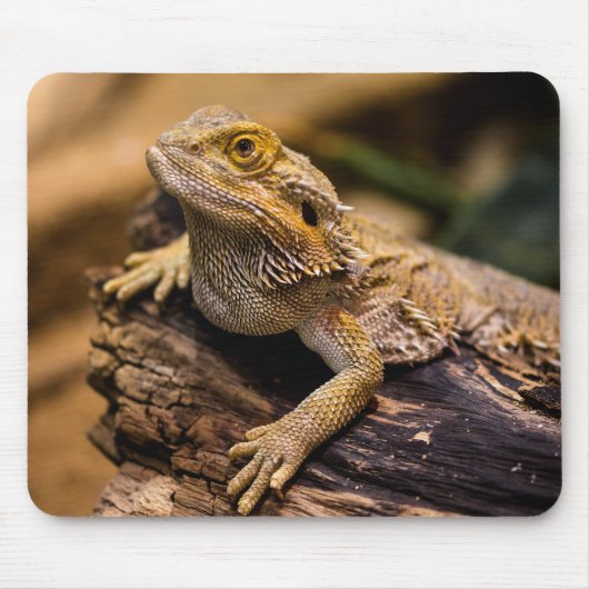 Tapis De Souris Lizards, reptiles, dragons (Devant)