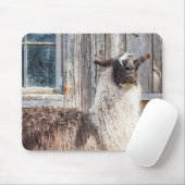 Tapis De Souris Llama devant une grange (Avec souris)