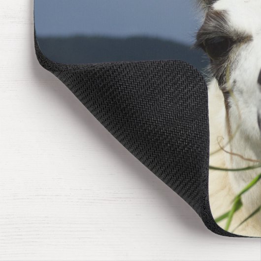 Tapis De Souris Llama la plus froide (Coin)