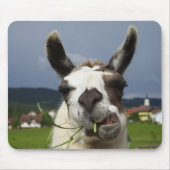 Tapis De Souris Llama la plus froide (Devant)