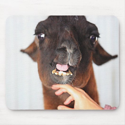 Tapis De Souris Llama Love (Devant)
