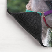 Tapis De Souris Llama supériorité (Coin)